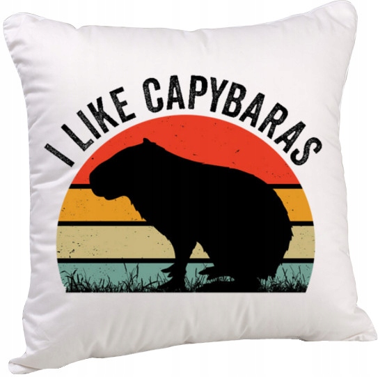 ŚMIESZNA PODUSZKA KAPIBARA CAPYBARA 40x40 CM 3216