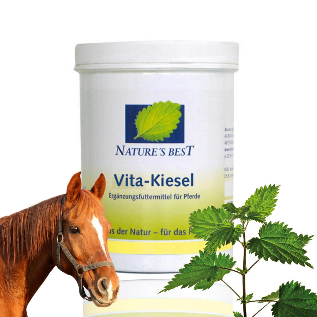 Nature's Best Vita-Kiesel Ziemia Okrzemkowa Pasza Mineralna Dla Koni 700g