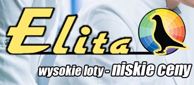 Żelazo Kompleks dla gołębi loty forma 250ml Elita