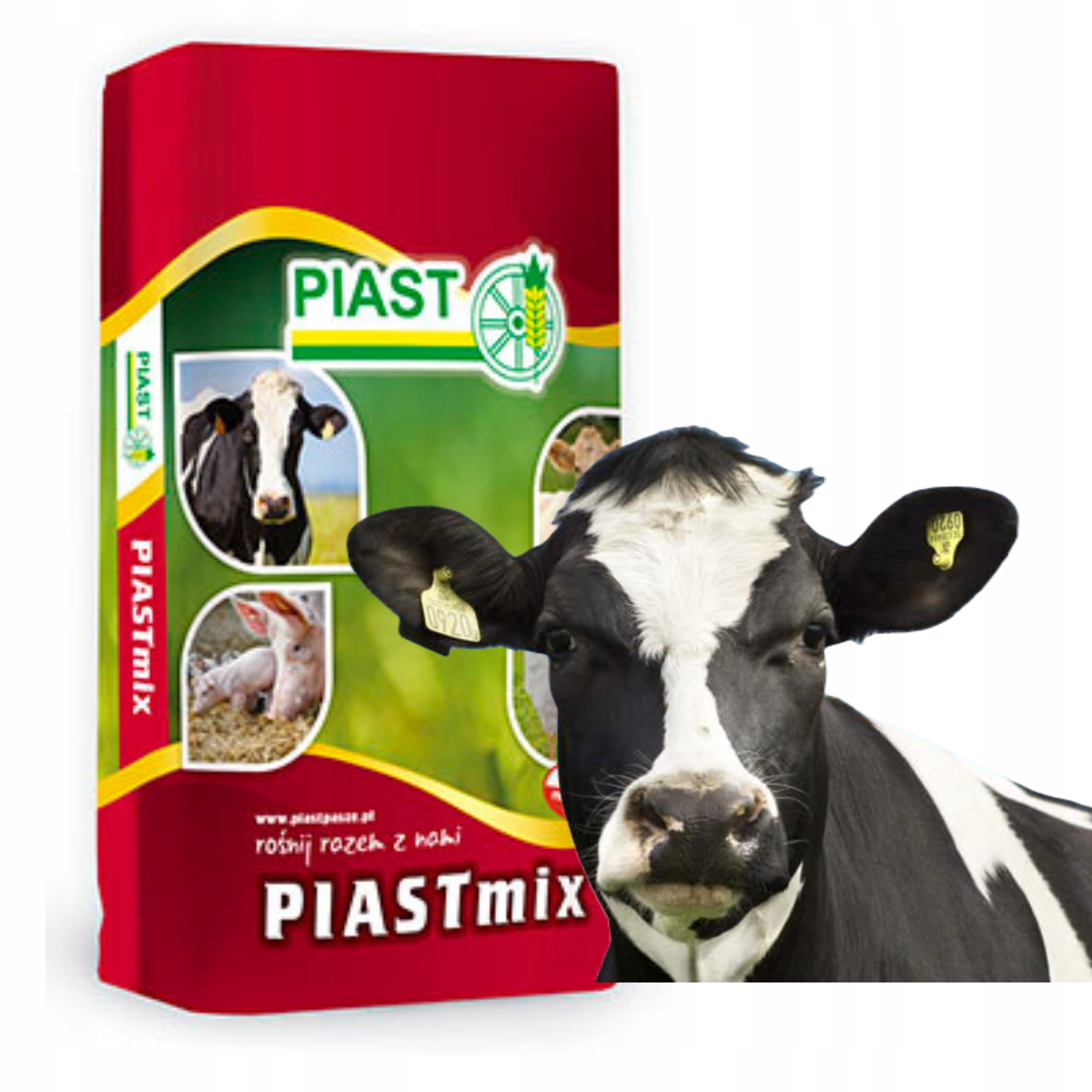 Mieszanka paszowa PIASTmix BETAVIT FORTE dla krów wysokowydajnych 20kg