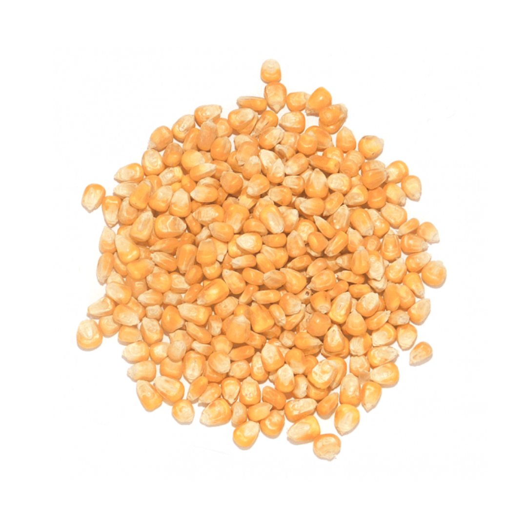 Kukurydza standard drobna dla papug, gołębi 25 kg