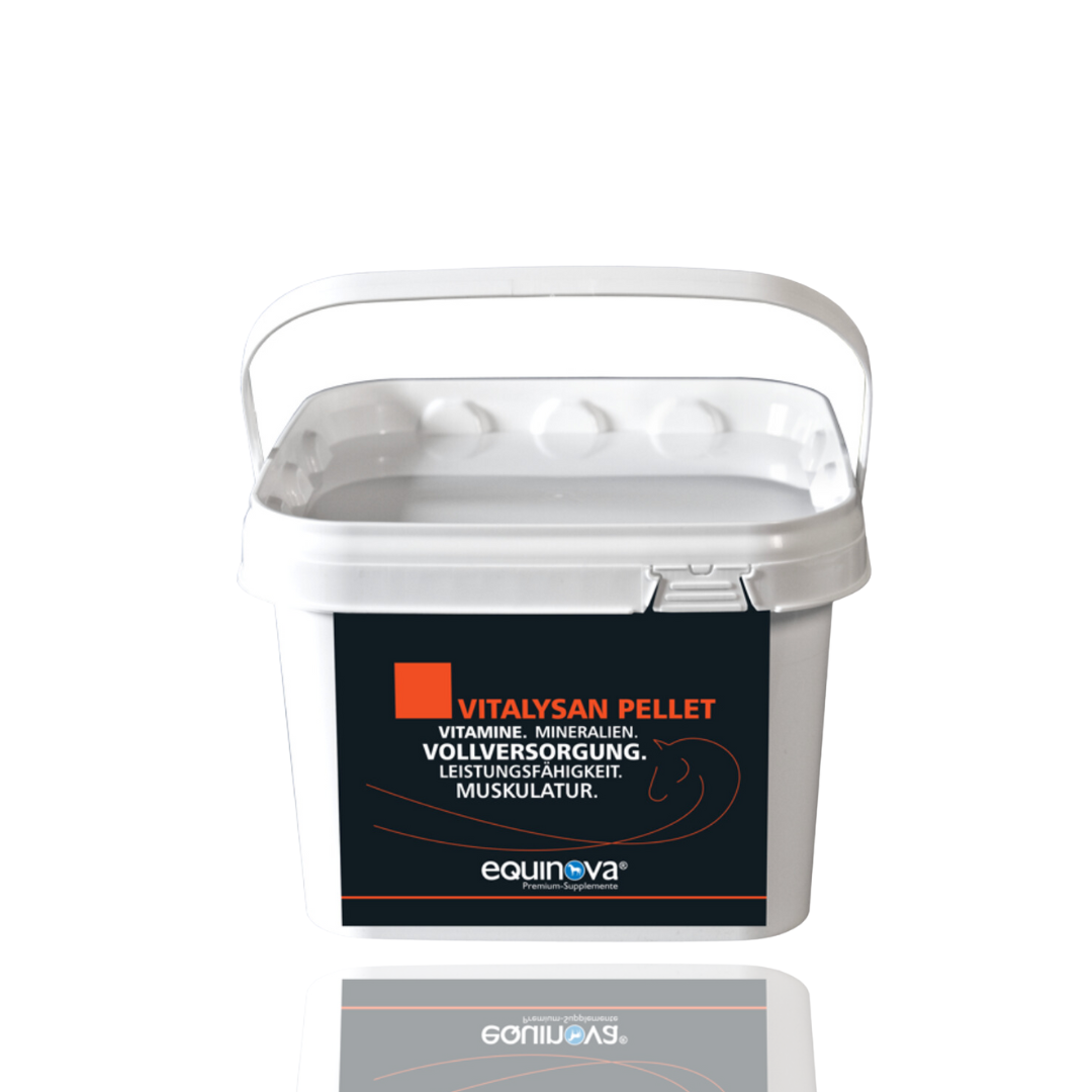 EQUINOVA Vitalysan Pallet 3kg - mieszanka witminowa