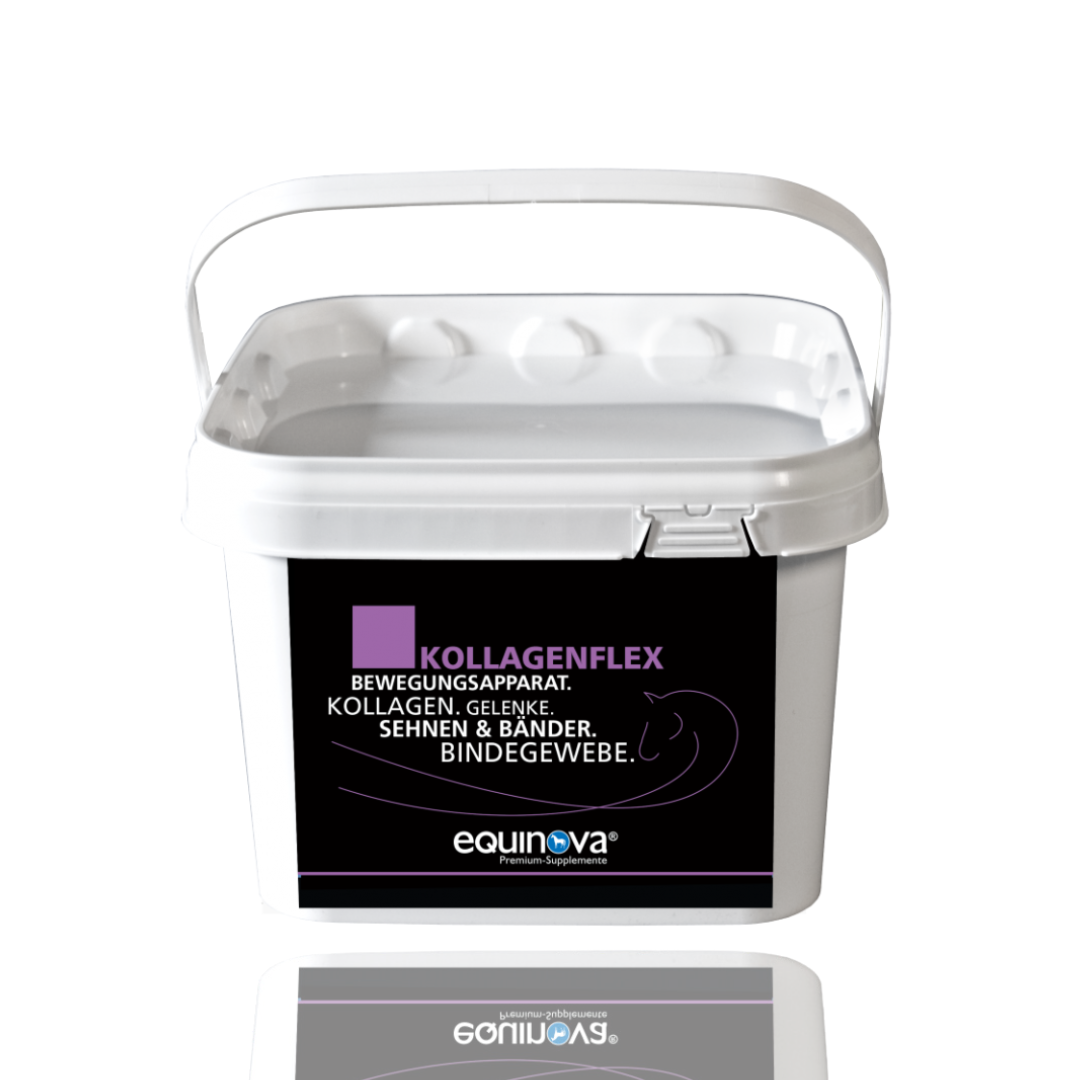 Suplement wspierający układ ruchu Equinova ''Kollagenflex'' 2kg
