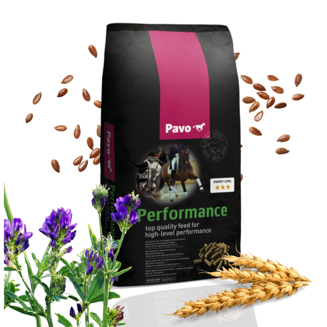 Pavo Performance 20 kg - Granulat dla koni sportowych i nerwowych dla najwyższego poziomu wydajności