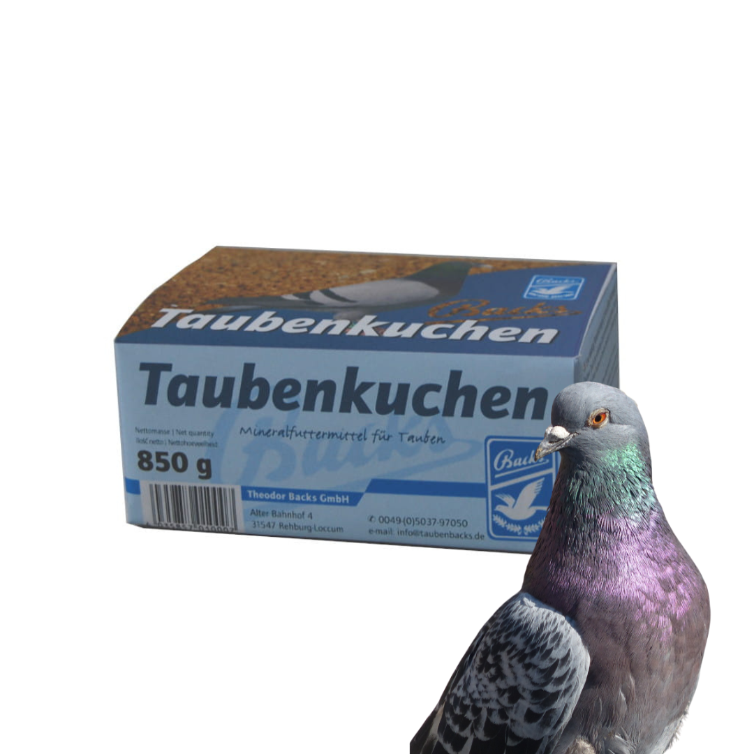 Backs Taubenkuchen 1 szt. – Kostka mineralna dla gołębi