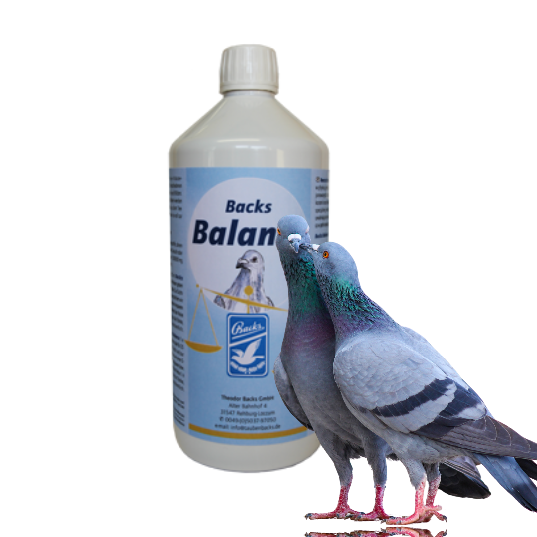 balance - neutralizuje substancje szkodliwe w organizmie 1000ml