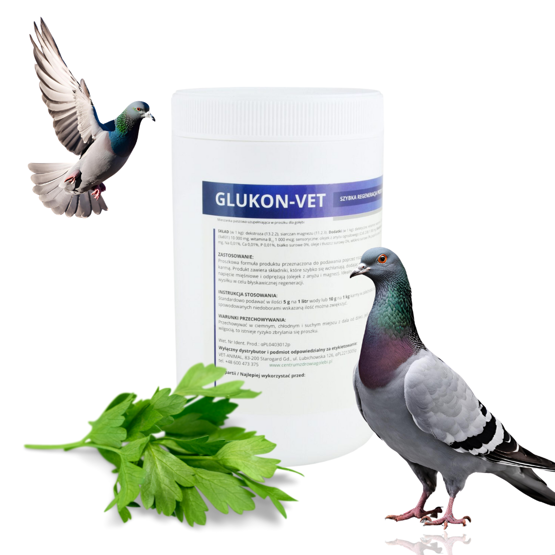 GLUKON VET szybka regeneracja przed i po wysiłku 500g
