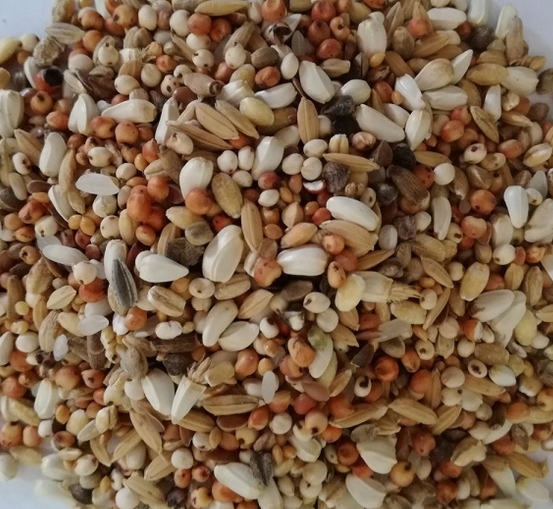 Karma dla gołębi Dieta Specjal D Best Natural 5kg