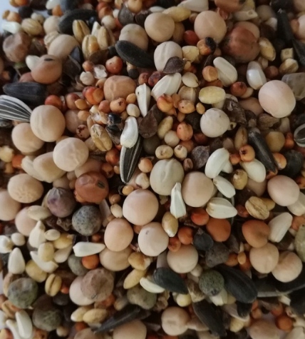Karma dla gołębi b/kukurydzy BK BEST NATURAL 20kg