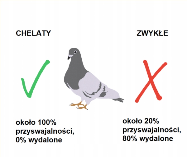 Żelazo Kompleks dla gołębi loty forma 250ml Elita
