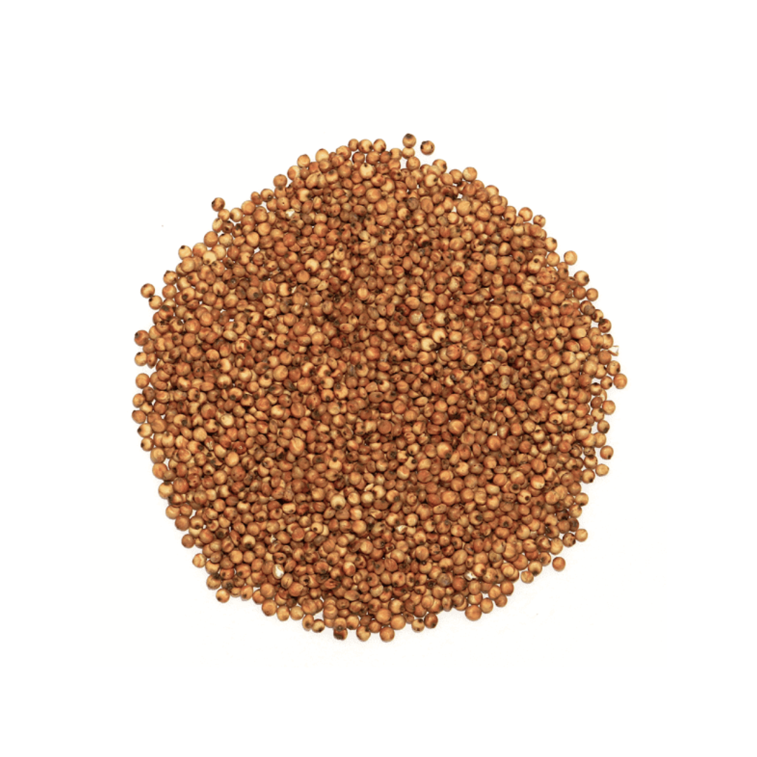 Sorgo Czerwone Karma Dla Ptaków Naturalna Wysokoenergetyczna 1 kg