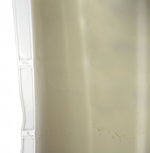 Worek, drencher do karmienia cieląt, 2,5 l, Kerbl