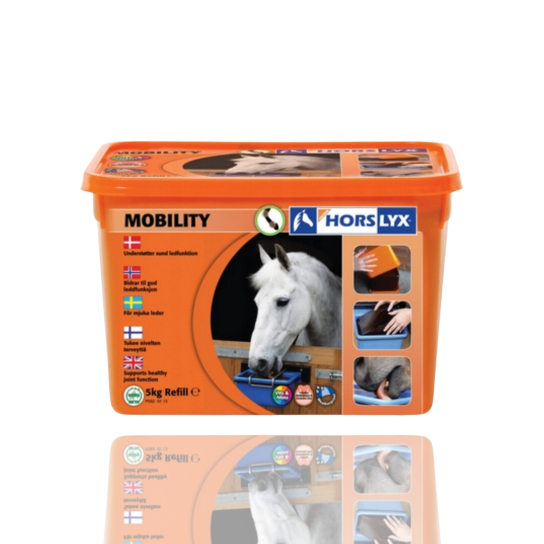 Horslyx Mobility Masa Energetyczna Dla Koni W Formie Bloków 5kg