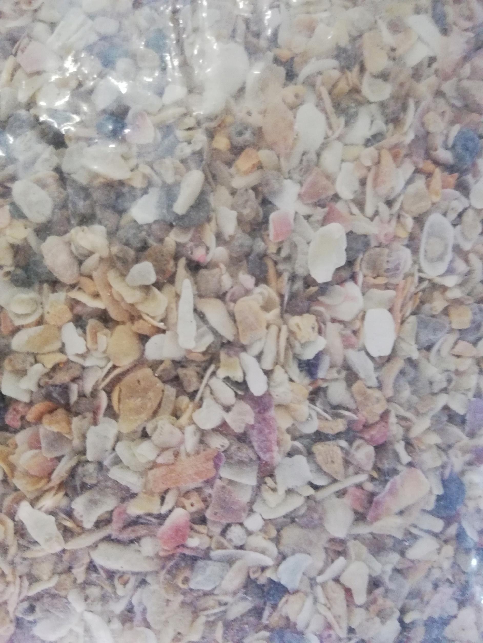 Gryt, grit z muszla exklusiv ELPOL 2.5kg