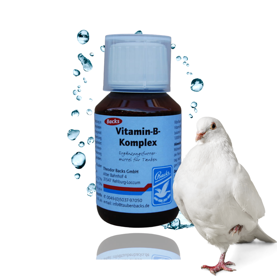 vitamin b-kompleks dla siły 100ml