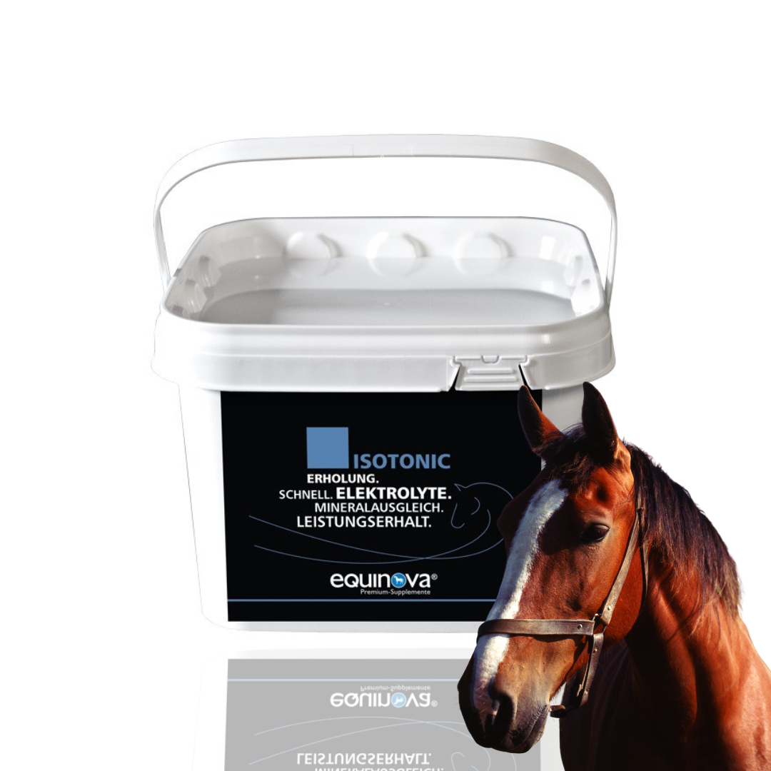EQUINOVA ISOTONIC POWDER Elektrolity dla koni 2 kg