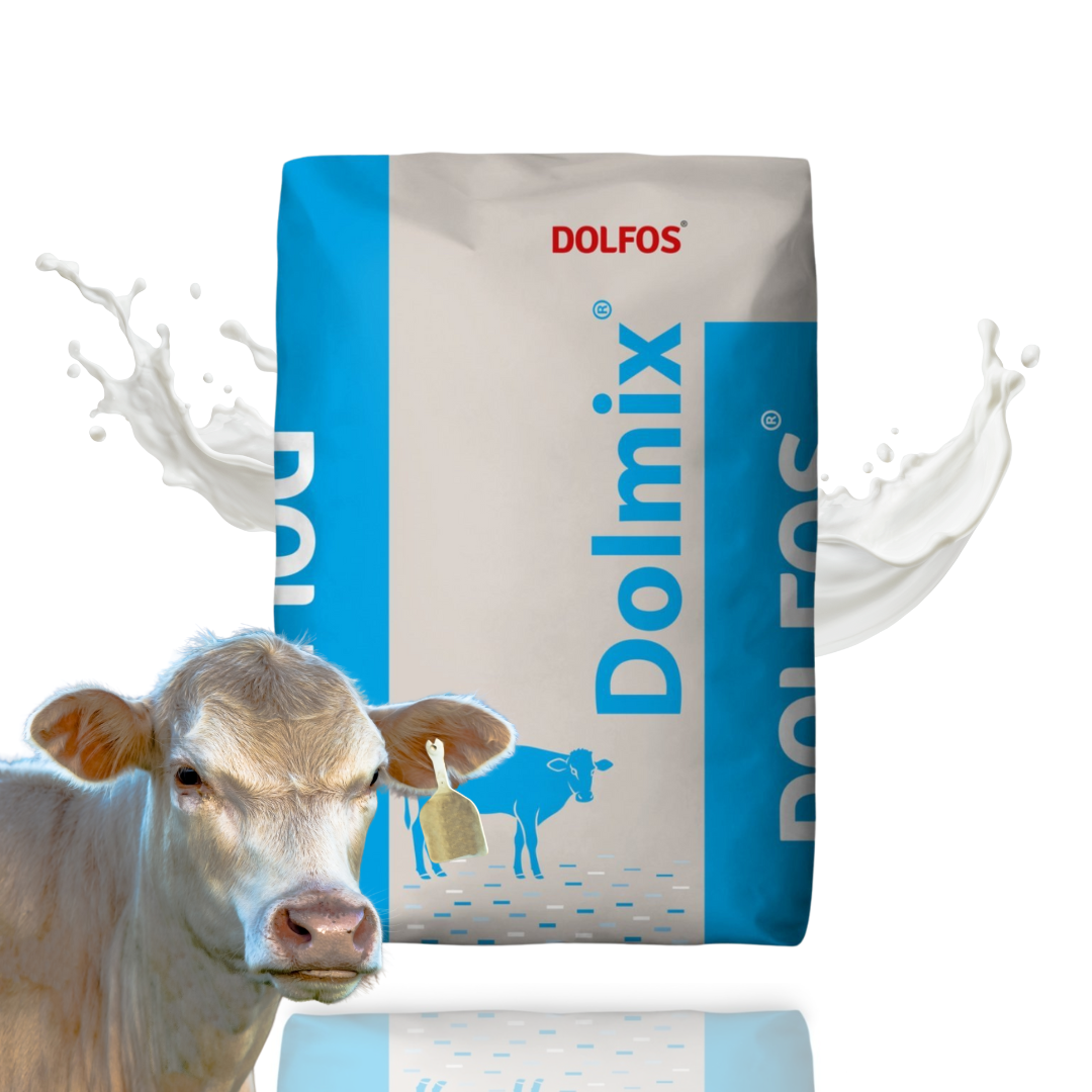 Dolmix BJ 20kg mieszanka uzupełniająca dla jałówek