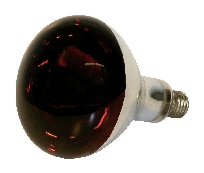 Promiennik żarówka hartowana kwoka 150W Kerbl czer