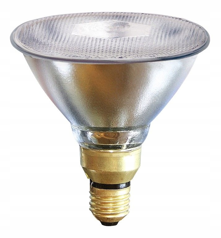 Promiennik żarówka lampa kwoka 100W Kerbl biała