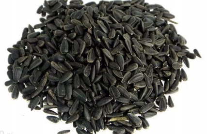 Słonecznik czarny dla gołębi ptaków ziarno zboże karma pasza 1kg