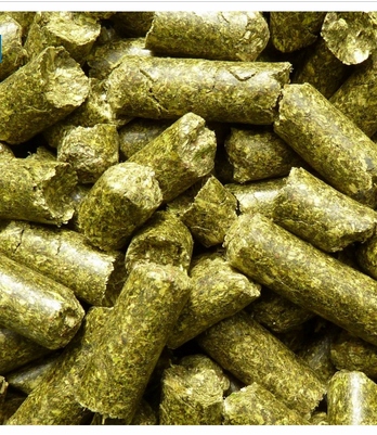 Nature's Best Esparsette Cobs Esparceta Granulowana Trawokulki Konie 18kg