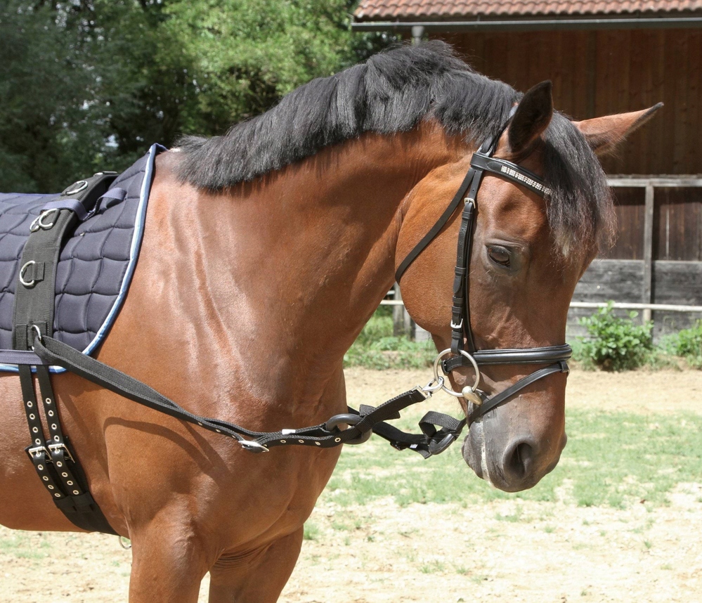 Wypinacze parciane z gumowymi kółkami roz. Pony