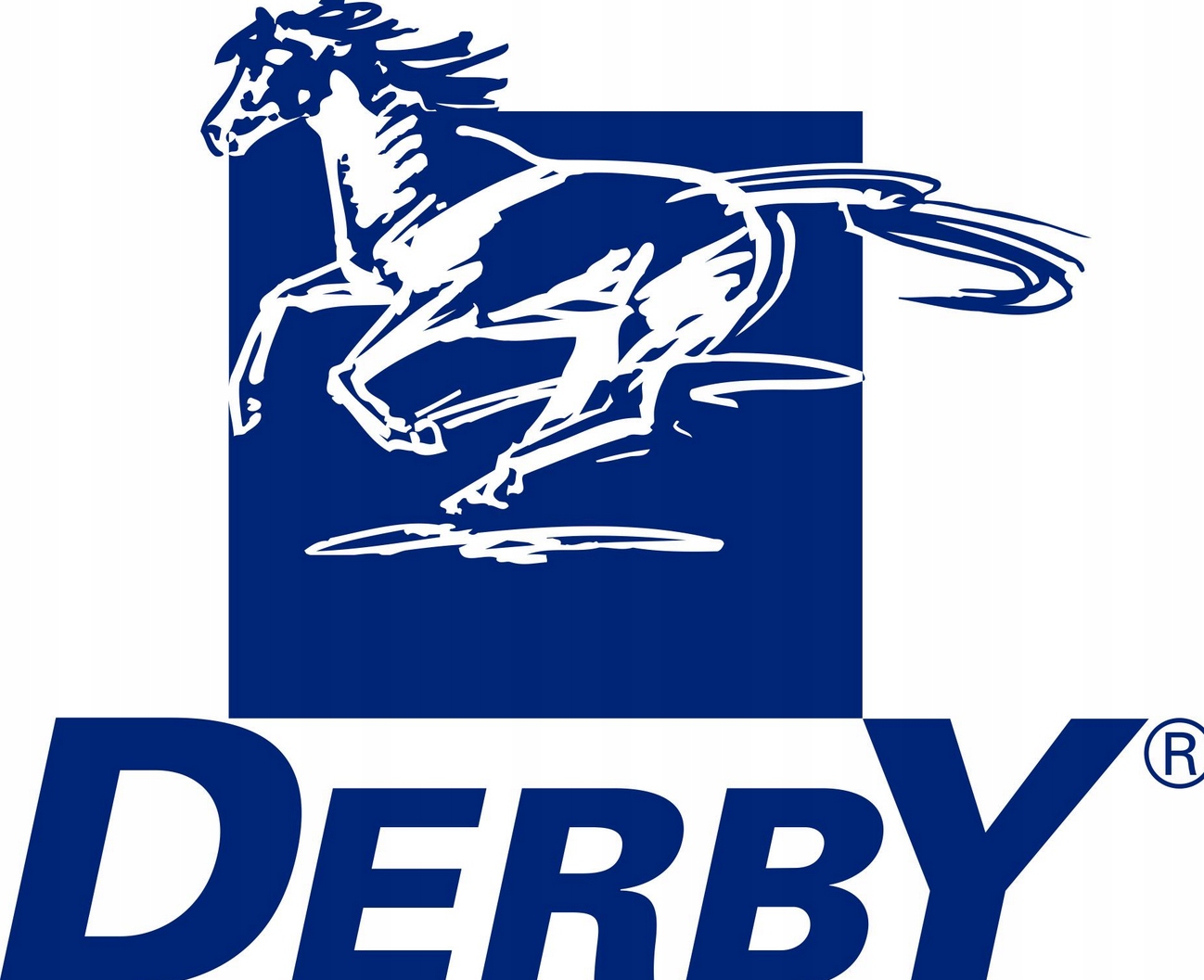 Derby Zink Selen Liquid Cynk Selen Witaminy Suplement Dodatek Dla Koni 1kg