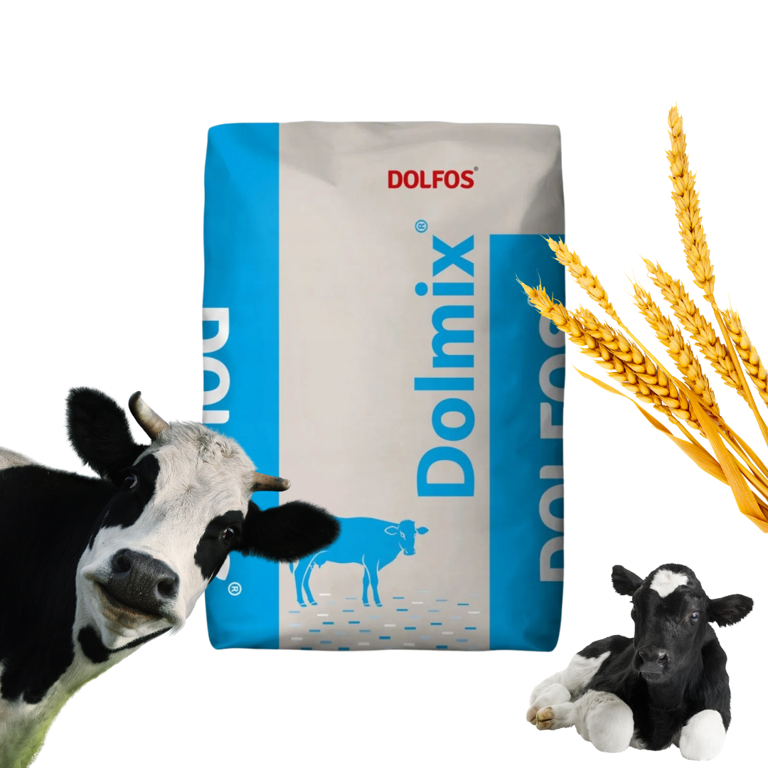 Dolmix BO - Witaminy i minerały dla bydła Wzrost i zdrowie Dolfos 10kg