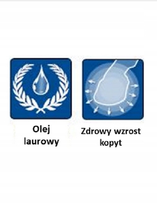 Derby Huffett Farblos Bezbarwny Smar Do Kopyt Dla Koni 500 ml