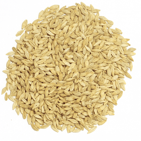 Jęczmień browarny (jasny, krótki) 1 kg