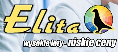 Mentol Septic dla gołębi bakterie jelita Elita 500