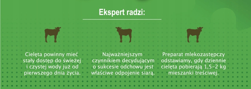 Koncentrat dla cieląt Cielak Wigor Neorol 25kg