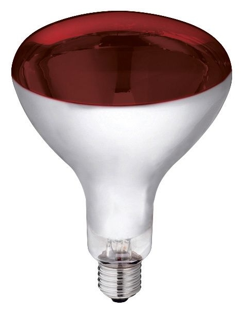 Promiennik żarówka hartowana kwoka 250W Kerbl czer