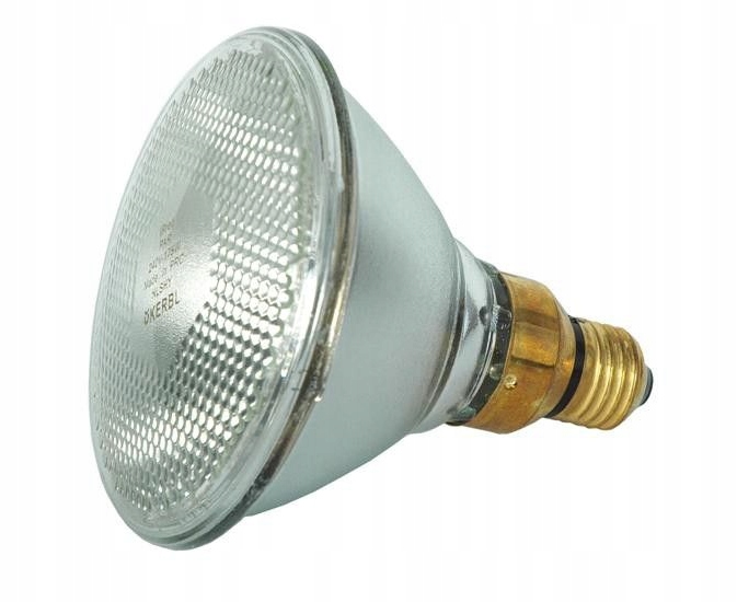 Promiennik żarówka lampa kwoka 100W Kerbl biała