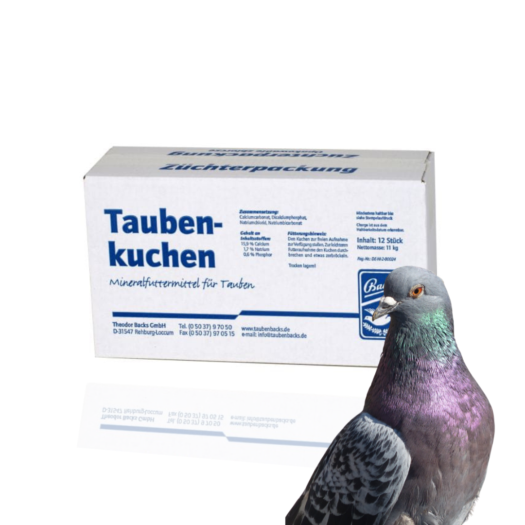 Backs Taubenkuchen 12szt. – Kostka mineralna dla gołębi