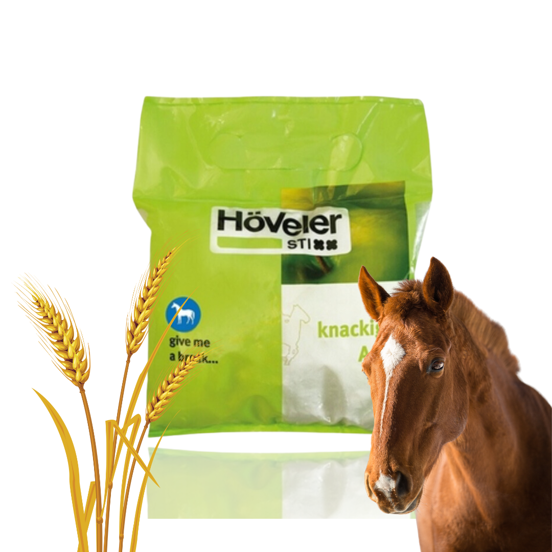 Höveler Apfel Stixx Mieszanka Paszowa Dla Koni W Formie Snaków 1kg