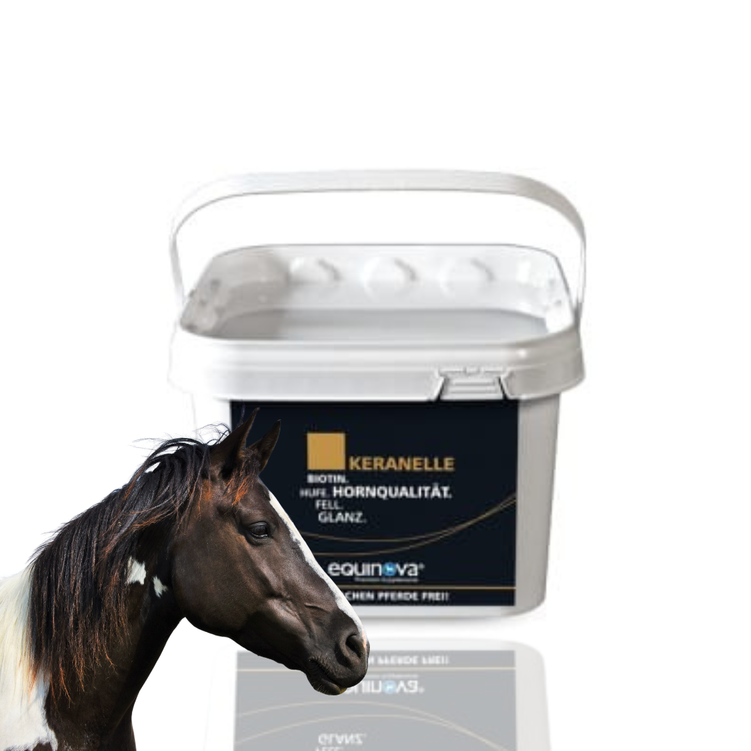 EQUINOVA Keranelle Powder 1,5kg - wspiera kopyta i sierść