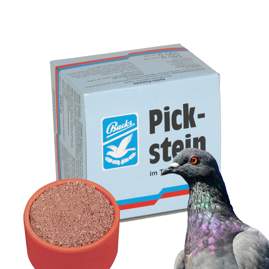 Pickstein w misce czerwony dla gołębi 590 g