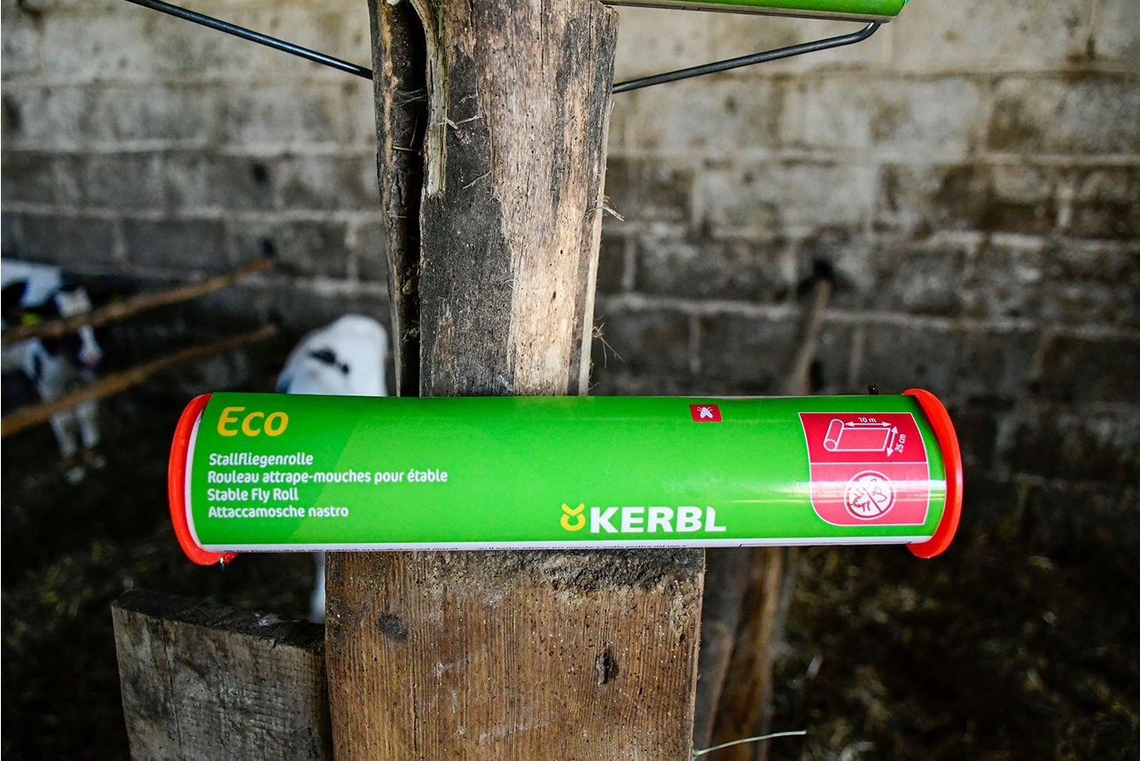 Lep przeciwko muchom na muchy 25 cm x 10 m Kerbl
