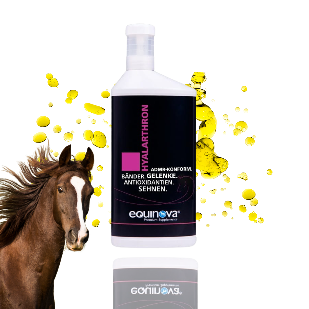 Suplement na stawy Equinova "Hyalarthron Liquid" 1l