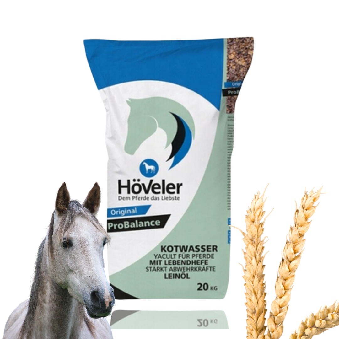Hoveler Pełnowartościowe Musli Dla Koni Original ProBalance 20kg