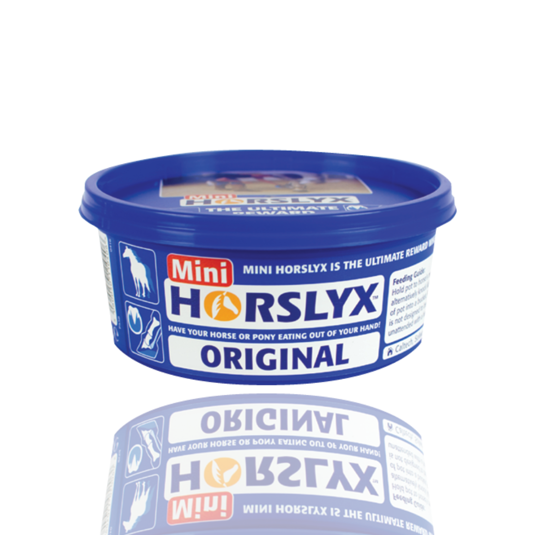 Horslyx Original Lizawka Dla Koni Witaminy Minerały W Formie Bloków 650g