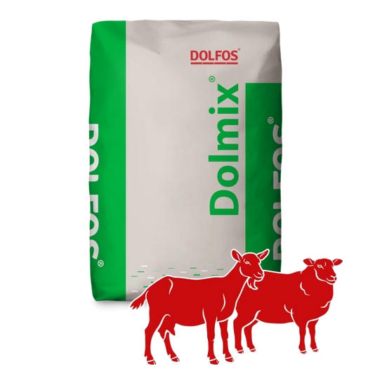 Dolmix M OK Mieszanka Dla Owiec Kóz W Wysokiej Ciąży Dolfos 20kg