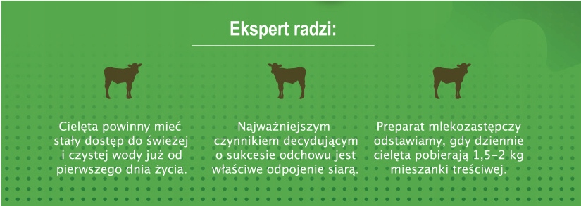 Pasza Musli C dla cieląt z witamina C Neorol 20kg