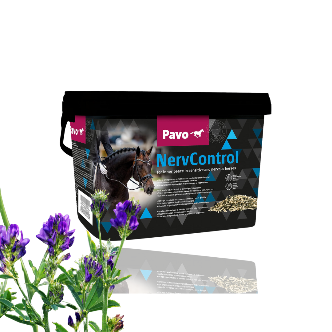 Pavo NervControl 3kg - Wsparcie dla zestresowanych i nerwowych koni - wiaderko 3 kg