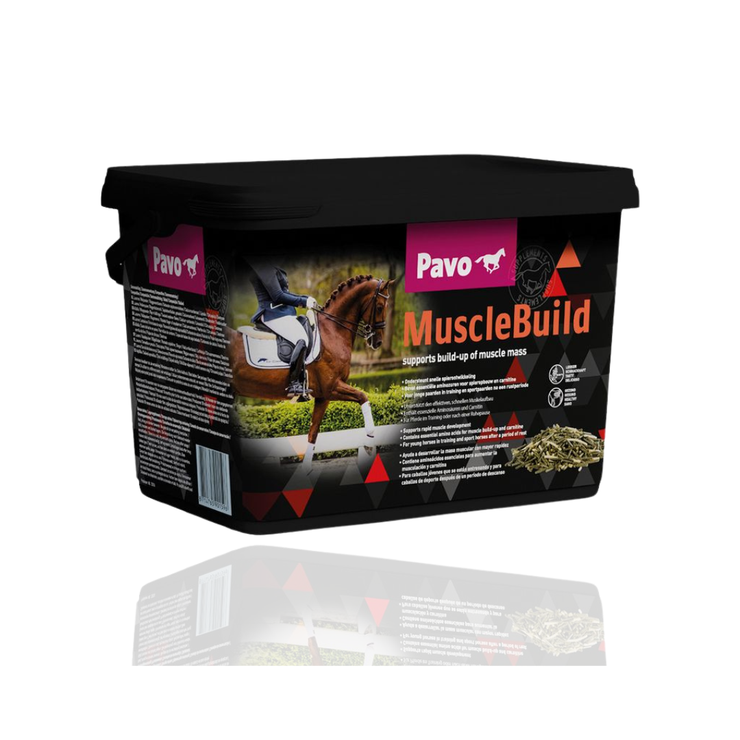 Pavo MuscleBuild 3kg Refill - Dla silnego i umięśnionego konia 3 kg