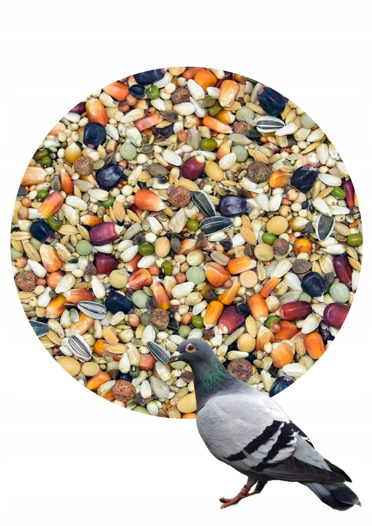 DRO - Dieta reg-oczyszczająca z ostropestem dla gołębi pocztowych 25kg