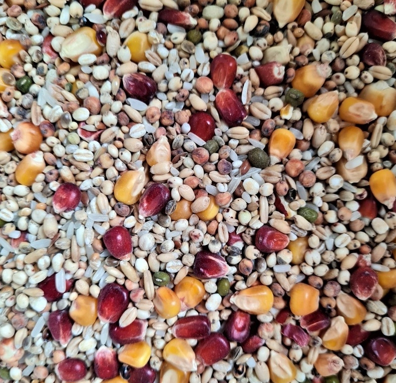 Karma dla gołębi szybkość Aidi Speedy Sprint 20kg