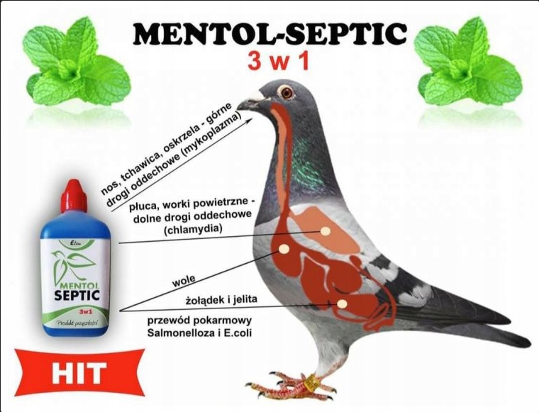 Mentol Septic dla gołębi bakterie jelita Elita 500