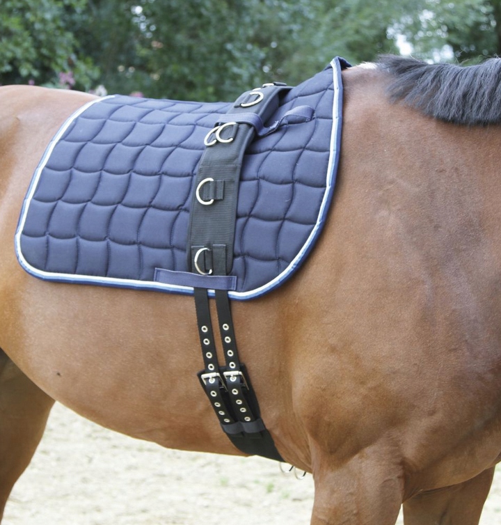Pas do lonżowania roz. Pony Covalliero